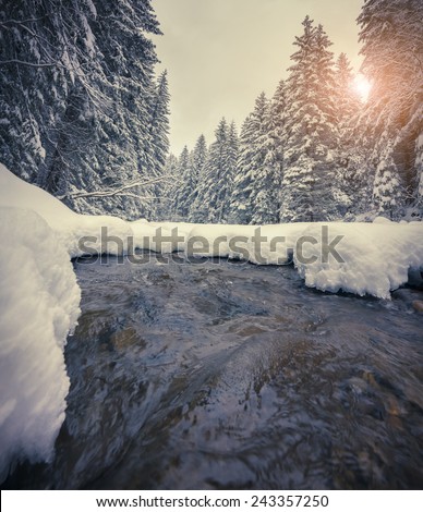 Dark river in the winter mountain forest at sunset. Retro style.