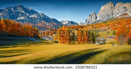 Similar – Image, Stock Photo Autumn landscape of forest with yellow foliage on trees and clear blue sky and green grass. Copy space on top on the blue cloudless sky on sunny day.