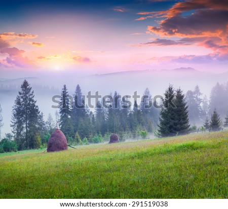 Haymaking in a foggy Carpathian village. Colorful summer sunrise in the foggy mountain.