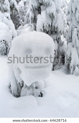 funny snowman handle in the Carpathian mountains
