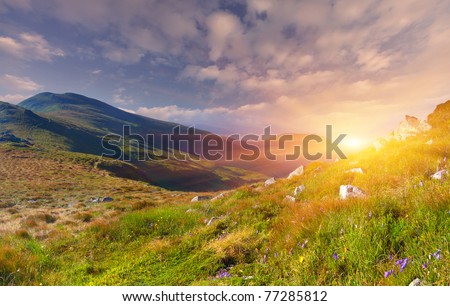 Colorful summer landscape in the mountains. Sunrise