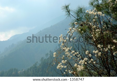 Spring (March) in the Nepal Himalayas. View of valley, way towards Lukla, Mt Everest Trek