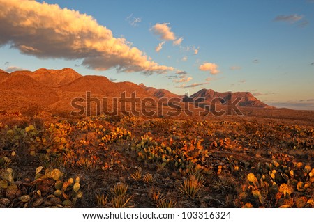 Desert Mountains at Sunrise. Southern Rocky Mountains in El Paso, Texas at Sunrise. Area is known as Castner Range. It is an old firing range that is off limits to the public.