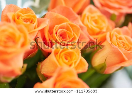 Bunch of red and orange beautiful roses