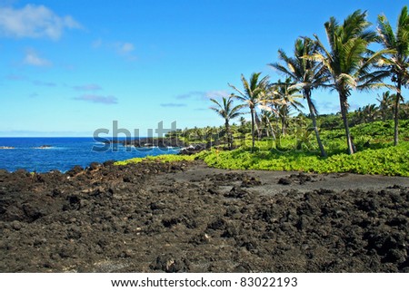 Maui beach with cooled down lava and palm trees