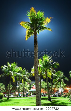 Lighting Palm at the night. Pattaya. Thailand