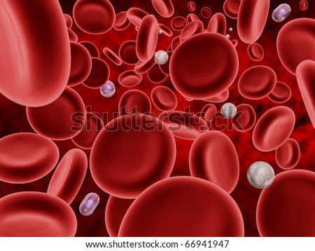 Red Blood Cells, White Blood Cells and Plasma Cells