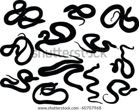 Snake Silhouette Collection - Vector - 60707968 : Shutterstock