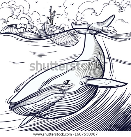 Blue whale being hunted by old time whalers book style line illustration
