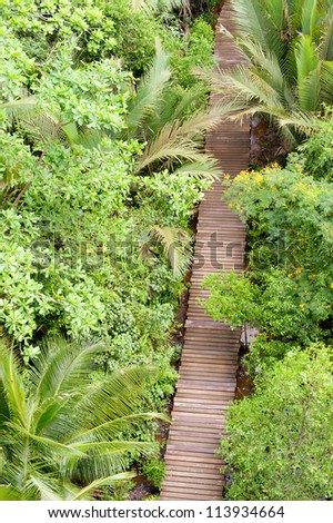 This image shows a Path through the tropical jungles of Pulau Ubin, Singapore
