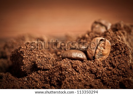 Closeup of two coffee beans at roasted coffee heap. Coffee bean on macro ground coffee background. Arabic roasting coffee - ingredient of hot beverage.