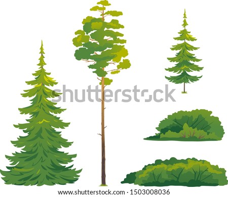 Set of forest trees and bushes, green tall spruce tree, European spruce evergreen coniferous tree, green tall pine tree, white spruce evergreen coniferous tree, green bushes