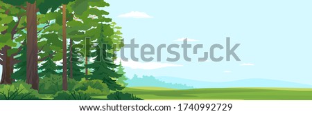 Woodland edge of wild forest with big green spruce trees and oak trees in front view, tourist route through the dense spruce forest and bushes in summer sunny day nature illustration background
