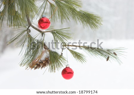 Decorative Christmas Ornaments hang from an evergreen on a snowy winter day