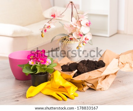 Planting colorfull flower in a flowerpot at home. Soil, yellow gloves, flowerpot and flowers ready to plant on the table