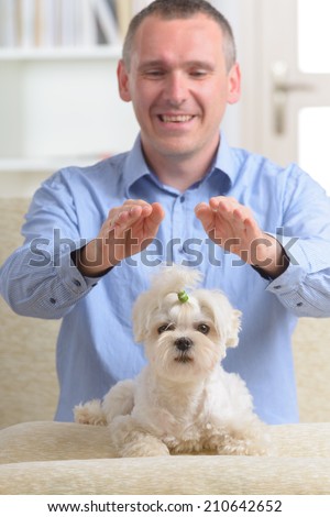 Man doing Reiki therapy for a dog, a kind of energy medicine.