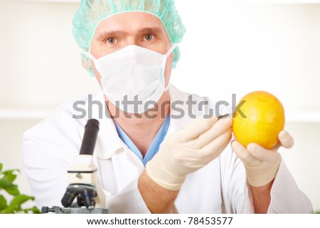 Researcher holding up a GMO vegetable. Genetically modified organism or GEO here transgenic plant is an plant whose genetic material has been altered using genetic engineering techniques