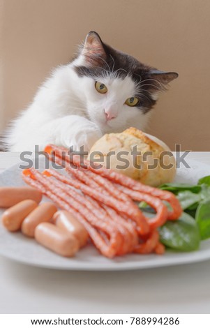 Shutterstock Puzzlepix