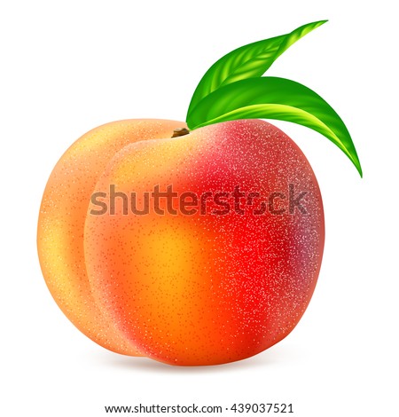 Ripe whole peach fruit with leaf isolated on white background. Realistic vector illustration.