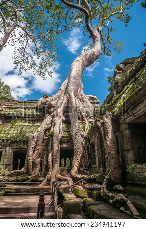 Ancient Khmer architecture ,Ta Prohm temple  ruins hidden in jungle in Siem Reap, Cambodia. Ta Prohm is a jungle temple  in Angkor.