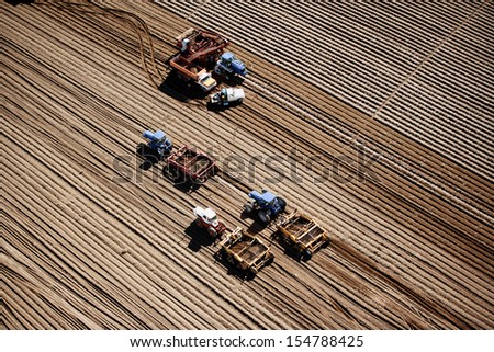 Farm machinery harvesting potatoes in Idaho