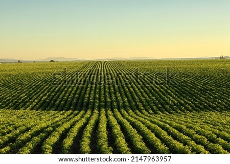 Similar – Image, Stock Photo Plowed agricultural farm field pattern with bare trees in background