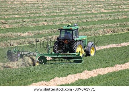 Idaho Falls, Idaho, USA July 1, 2013 A view of hay being windrowed in an alfalfa field for drying.\
\
\
\
shelly, Idaho, USA July 1, 2013 A view of balles in a freshly cut alfalfa field.