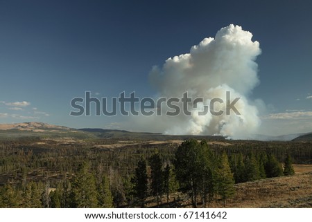 A large forest fire burning in the background, with the destruction of the burned out damage in the foreground.