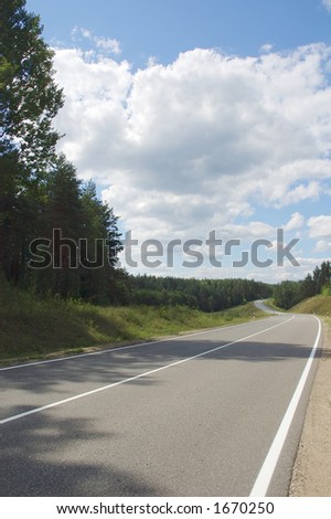 landscape with road in the forest
