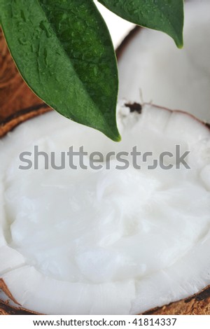 broken ripe coconut and leaves on white
