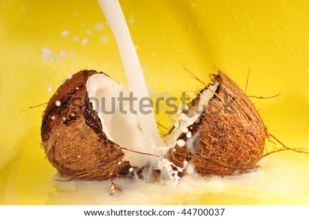 Coconut with coconut milk splash on yellow close up