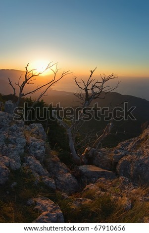 The light in the dawn Photo taken in the Crimea, Ai-Petri plateau, at dawn.