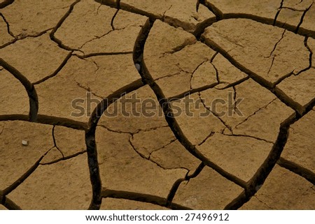 Baked earth after a long drought