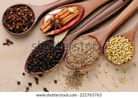 Variety of spices on wooden spoons,ingredients for garam masala , indian spice mix