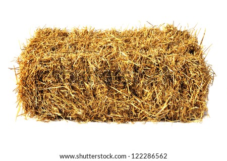 Similar – Image, Stock Photo Packed bales of straw on a meadow