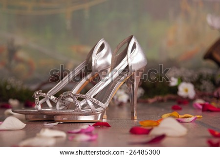 silver womans shoes with petals
