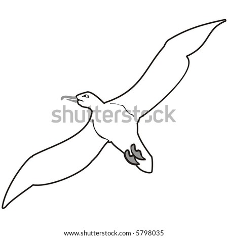 Black And White Art Illustration: A Seagull - 5798035 : Shutterstock