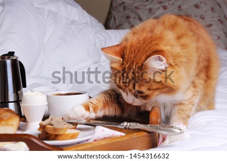 Shutterstock Puzzlepix