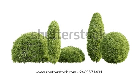 Similar – Image, Stock Photo Thuja hedge in the snow