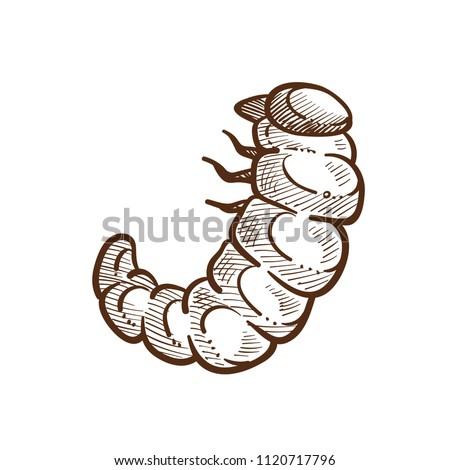 Larva harmful insect monochrome outline sketch vector illustration