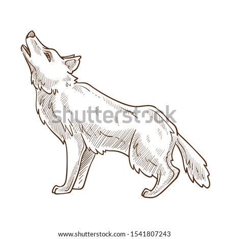 Wolf Howling At The Moon Drawing In Pencil | Free download on ClipArtMag