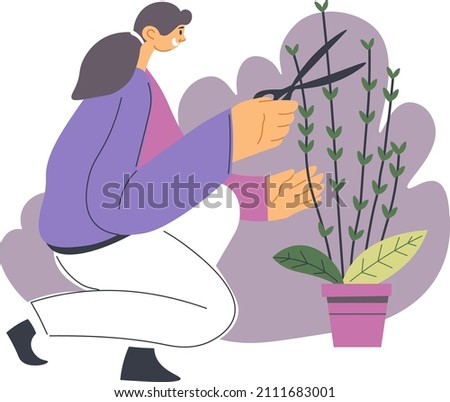 Female character caring for garden and foliage, woman with scissors cutting branches and twigs of bushy plant in pot. Florist shop or gardener tending orchard. Hobby of girl or leisure, vector