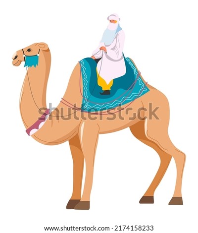 Arabic country transport and traditions, male character wearing clothes riding camel in desert. Adventures and traveling, trip and new experiences for travelers in Arab place. Vector in flat style