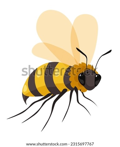 Honeybee insect with wings, isolated icon of bee producing honey or sweet nectar. Apiary and bee garden, beekeeping and apiculture business and production on rustic farm. Vector in flat style