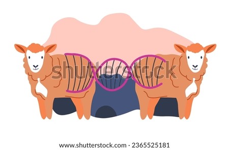 Genetically modified sheep, cloning of animals and setting experiments on mammals. Laboratory researches and biotechnologies. genome sequencing and changing of code. Vector in flat style illustrations