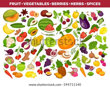 vegetables or veggies farmer harvest, exotic tropical juicy fruits, forest or garden berries and herbal spices or spicy condiments and seasonings. Vector isolated icons set