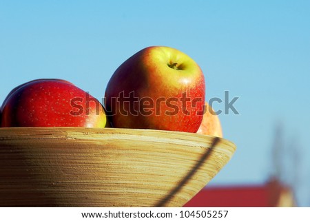 basket with big, red apples