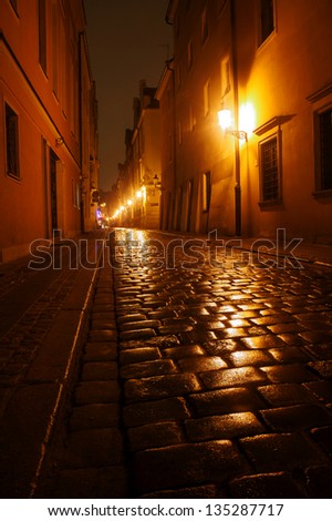 Paved street after the rain, at night in Poznan