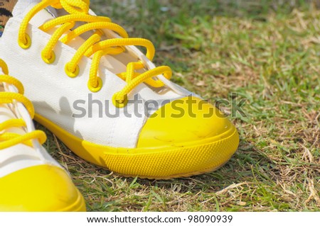 White shoes on the lawn