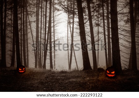 Spooky Night Forest with fog and with pumpkin lanterns